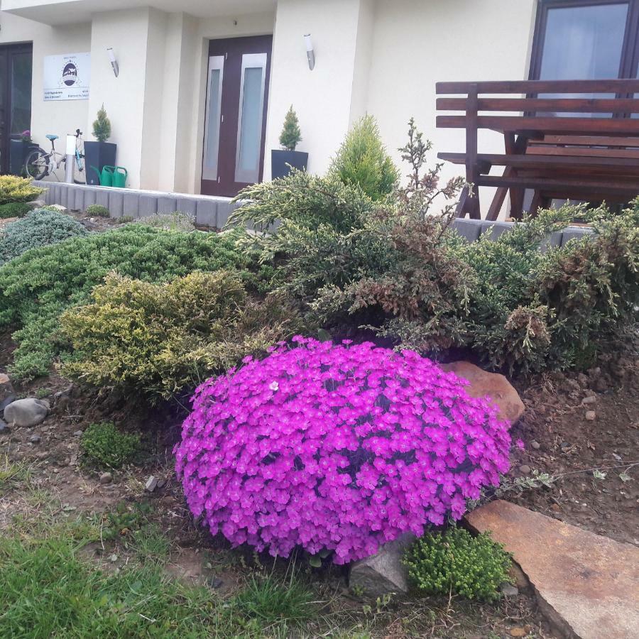 Apartamenty Przy Trakcie Cesarskim ベンギエルスカ・グルカ エクステリア 写真